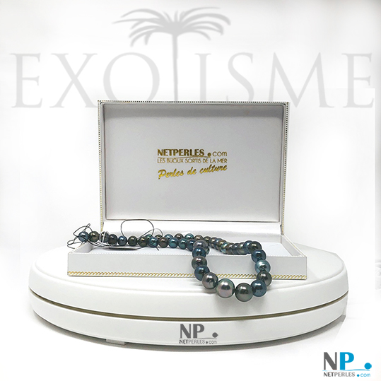 Collier de perles noires de Tahti, semi rondes, qualité AA/AA+ couleurs très variées longueur 43 à 44 cm 